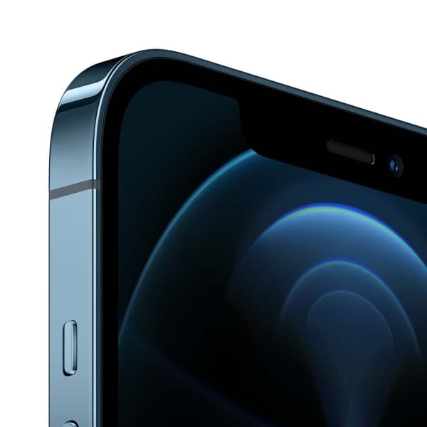 Apple iPhone 12 Pro Max 256Gb (Graphite) (MGDC3RU/A) — фото 9